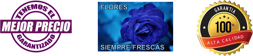 floristeria-sellos